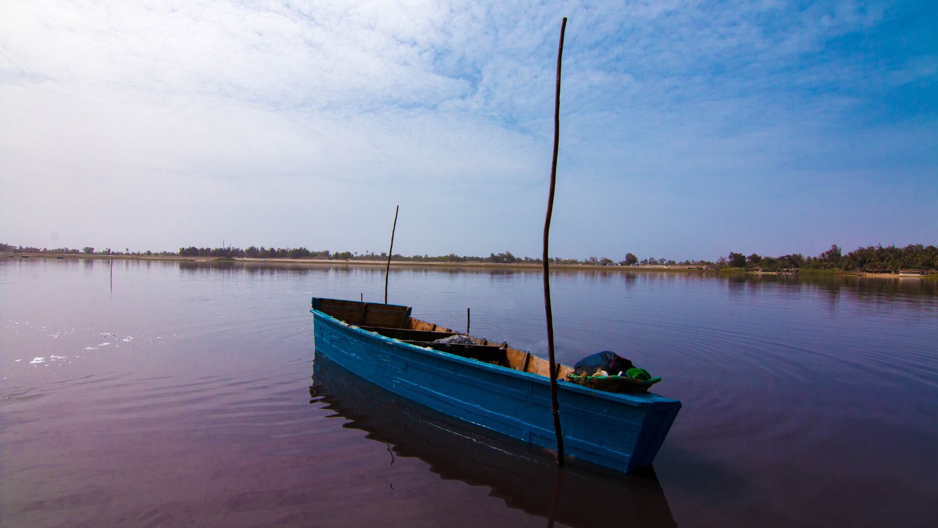 El lago rosa de Senegal se tornó verde tras lluvias e intervención humana. Su ecosistema ahora enfrenta un serio riesgo de desaparición.