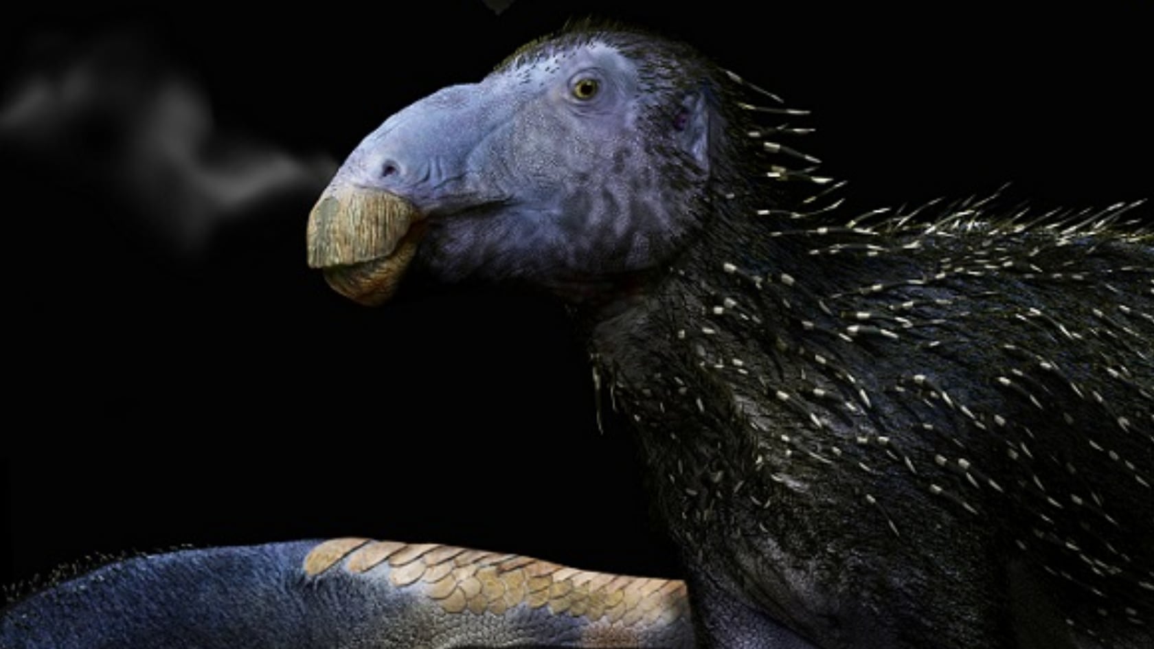 Científicos identificaron en China una nueva especie de dinosaurio herbívoro con espinas cutáneas huecas, un rasgo evolutivo inédito hasta ahora.