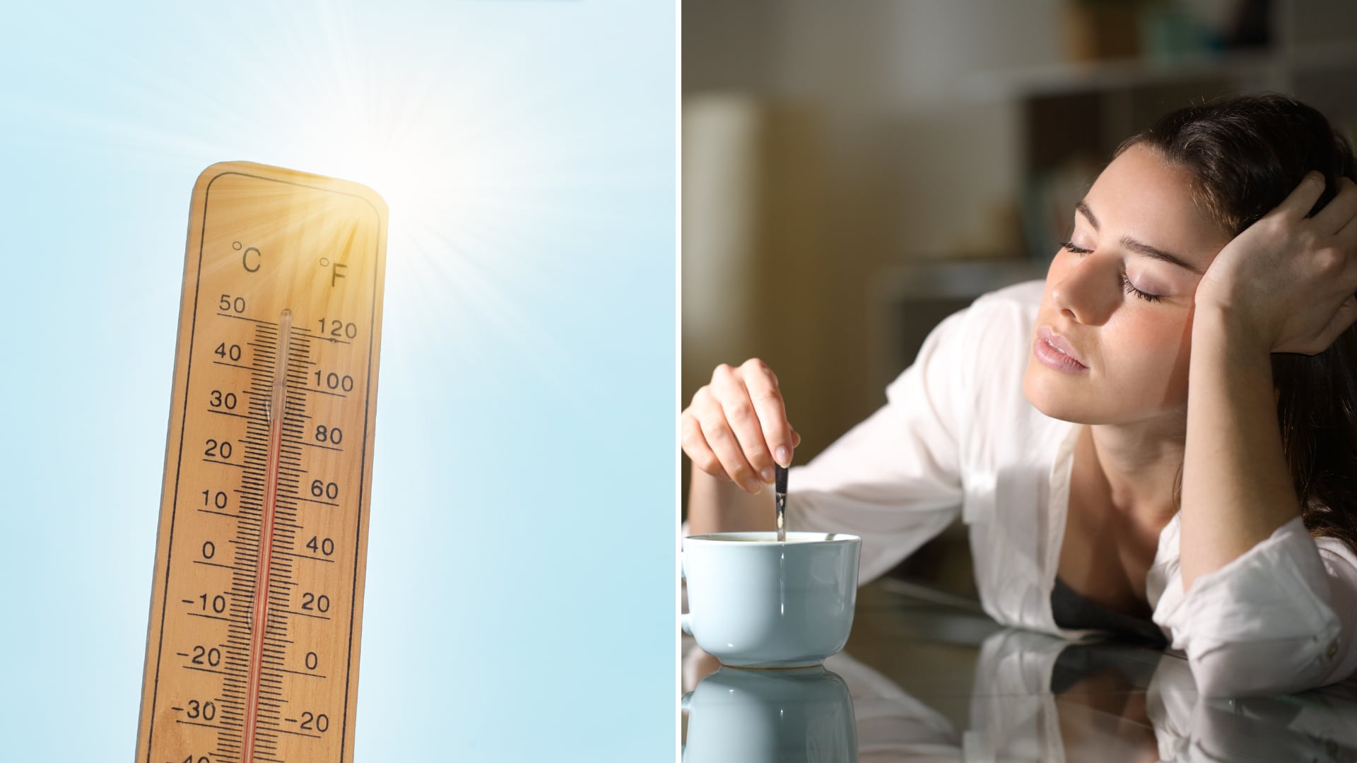 El calor diurno aumenta la somnolencia, según un estudio que explora conexiones biológicas compartidas entre humanos y moscas de la fruta.