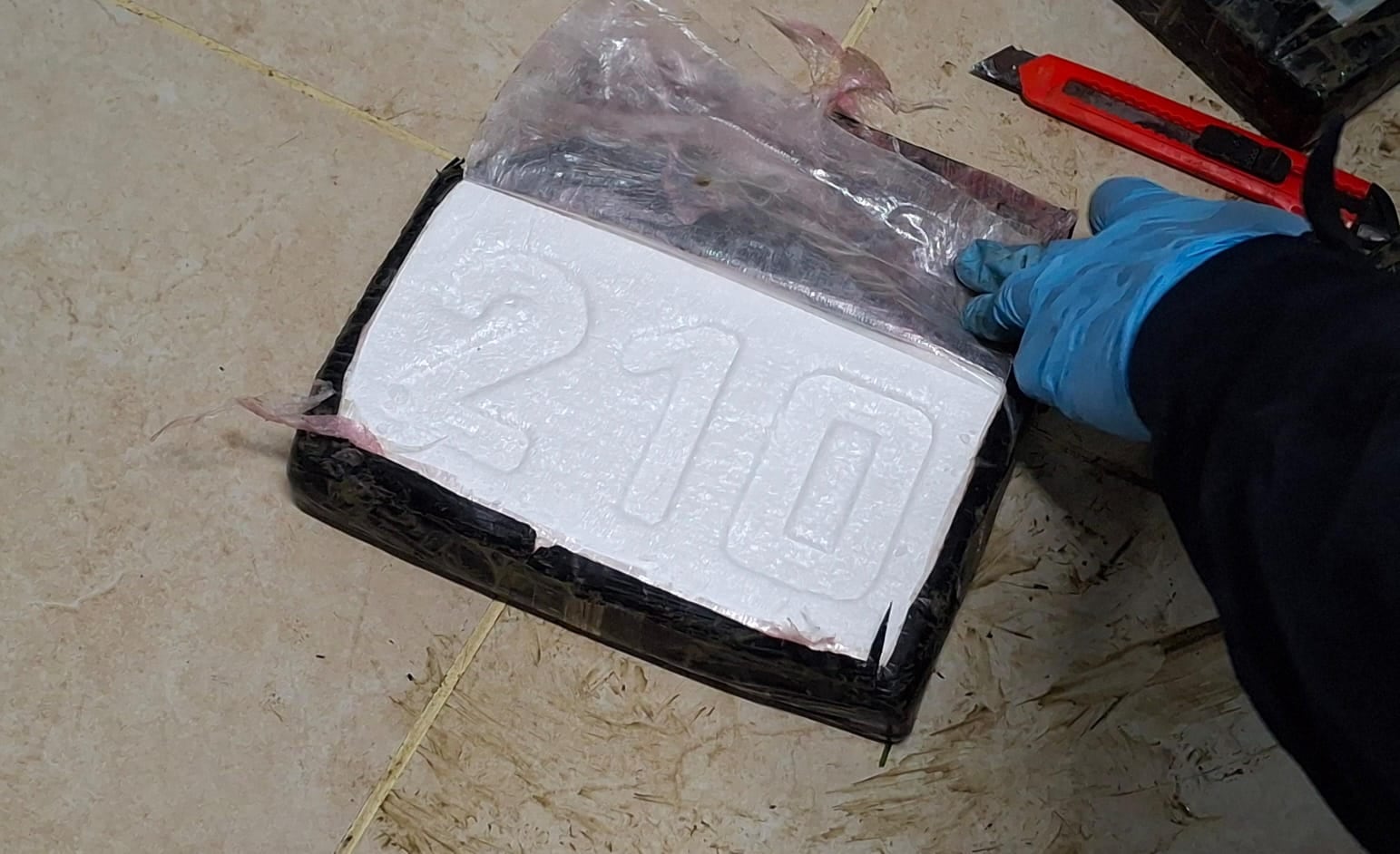 La PCD decomisó 309 paquetes de cocaína en una avioneta estrellada en Laguan Peje Perro, en Carate de Puerto Jimémez.