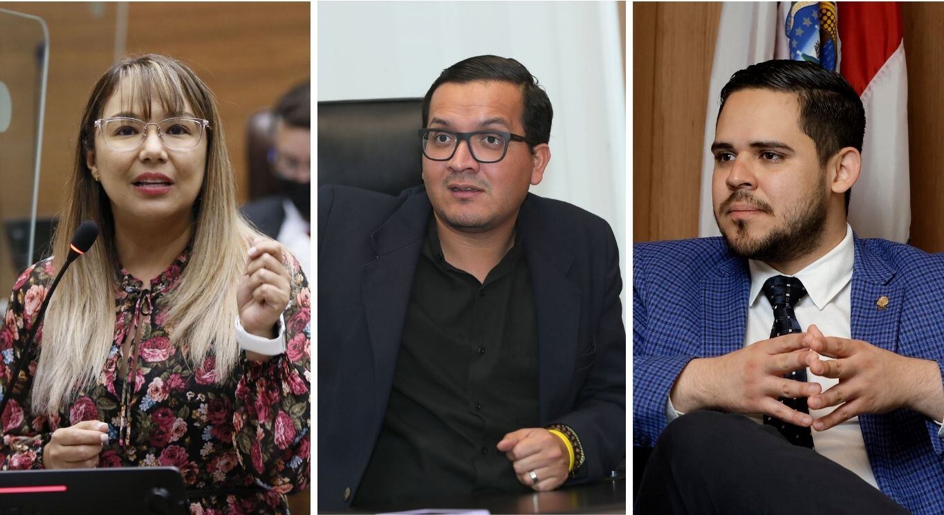 Los diputados Paola Nájera, de Progreso Social Democrático; Antonio Ortega, del Frente Amplio; y Carlos Felipe García, de la Unidad Social Cristiana, todos integrantes de la Comisión de Reformas Electorales.