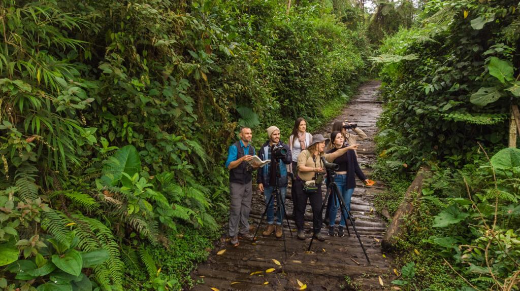 La plataforma digital ‘Empleos en Turismo’ es gratuito y tiene el objetivo de contactar a los desempleados del sector, con empresas que buscan nuevos trabajadores. (Imagen ilustrativa). Foto: Cortesía del ICT.