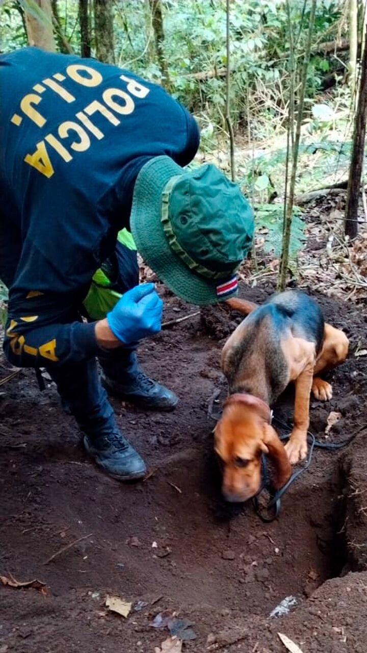 Perro especialista en restos humanos encontró el punto donde enterraron a Jorge David Mayorga Barrantes.