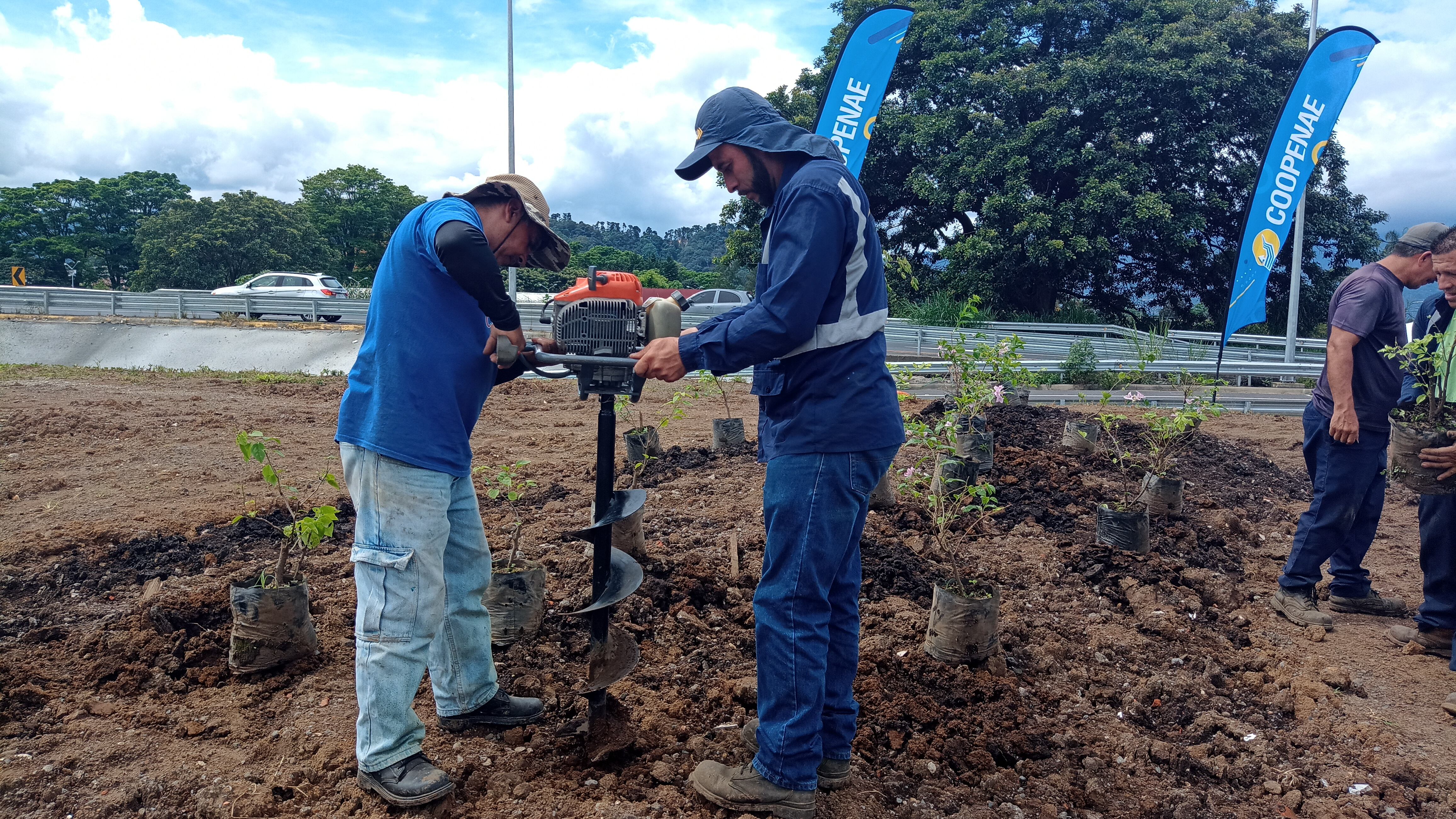 Primer 'bosque compasivo' crece en la intersección de La Galera, entre La Unión y Curridabat.