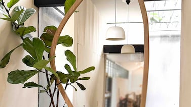 Espacios interiores inspirados en la naturaleza