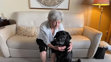 Tiene 75 años y le implantaron un diente en el ojo para recuperar la visión