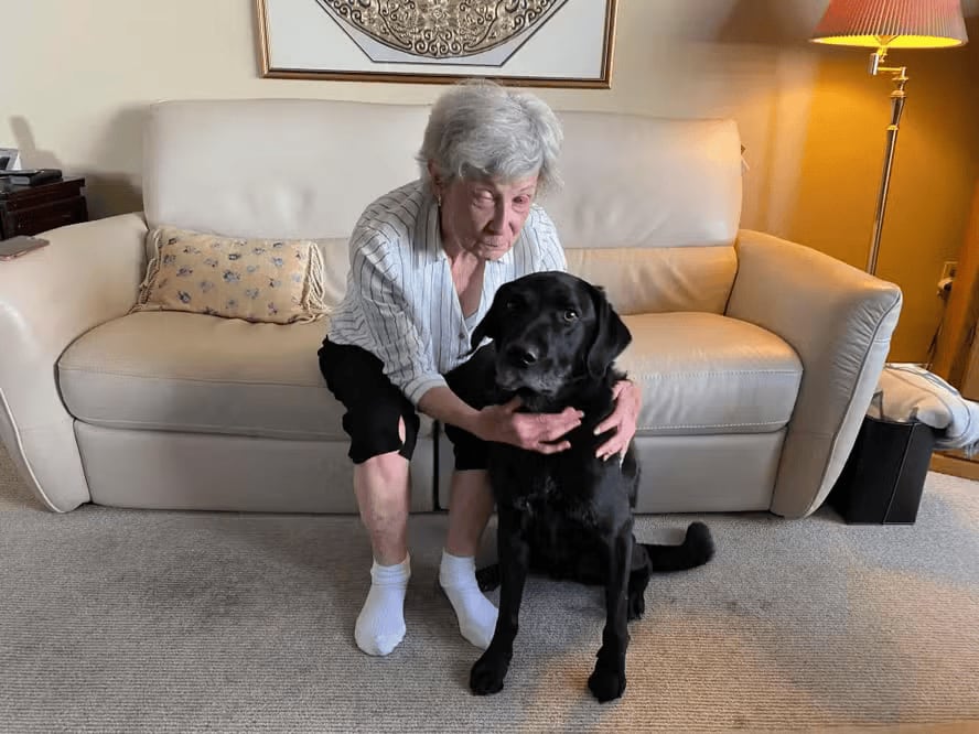 Una mujer de 75 años en Canadá recuperó parte de su vista tras una cirugía única que usó su propio diente como soporte para una lente ocular.