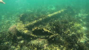 ¿Corre riesgo sitio arqueológico en Cahuita por fuerte oleaje? Museo Nacional explica situación del parque y de barcos históricos