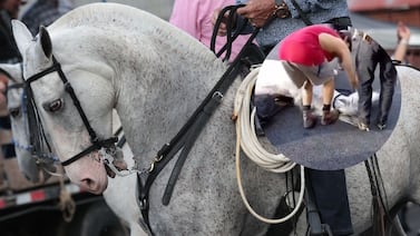 Alcaldesa de San Ramón se pronuncia sobre supuesta muerte de un caballo en el Tope Nacional
