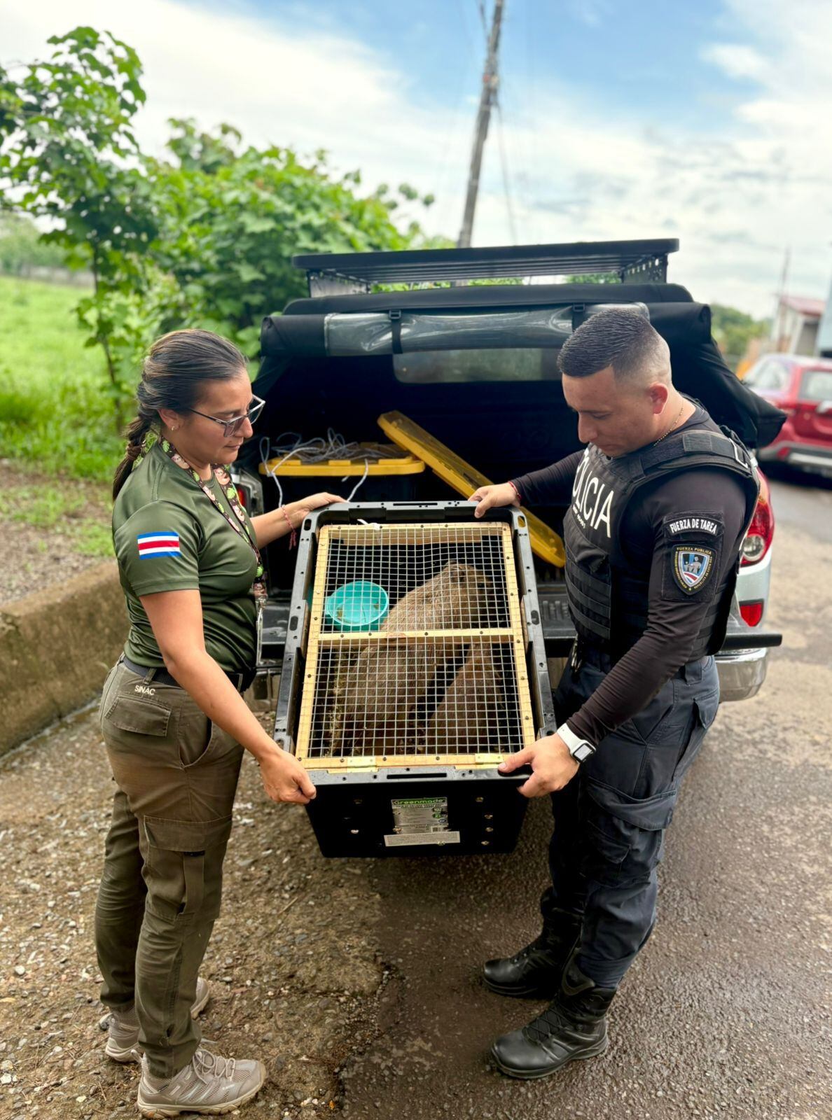 Policía rescató a una familia de cinco capibaras. Foto: Ministerio Seguridad Pública