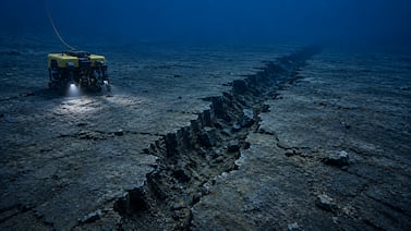 ¿Por qué algunos terremotos se repiten cada pocos años en el mismo lugar?
