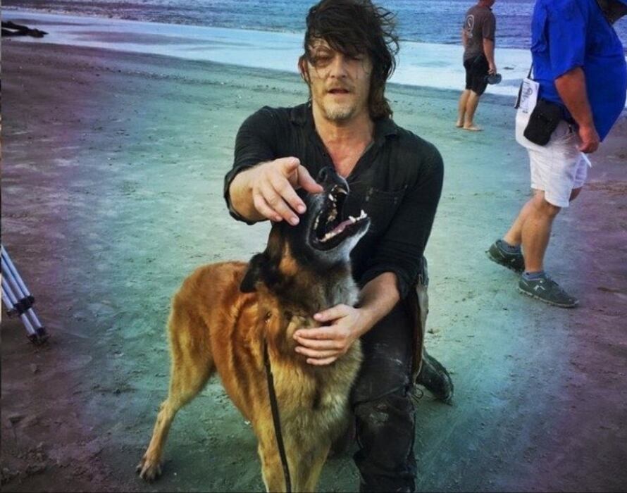 Norman Reedus Seven
