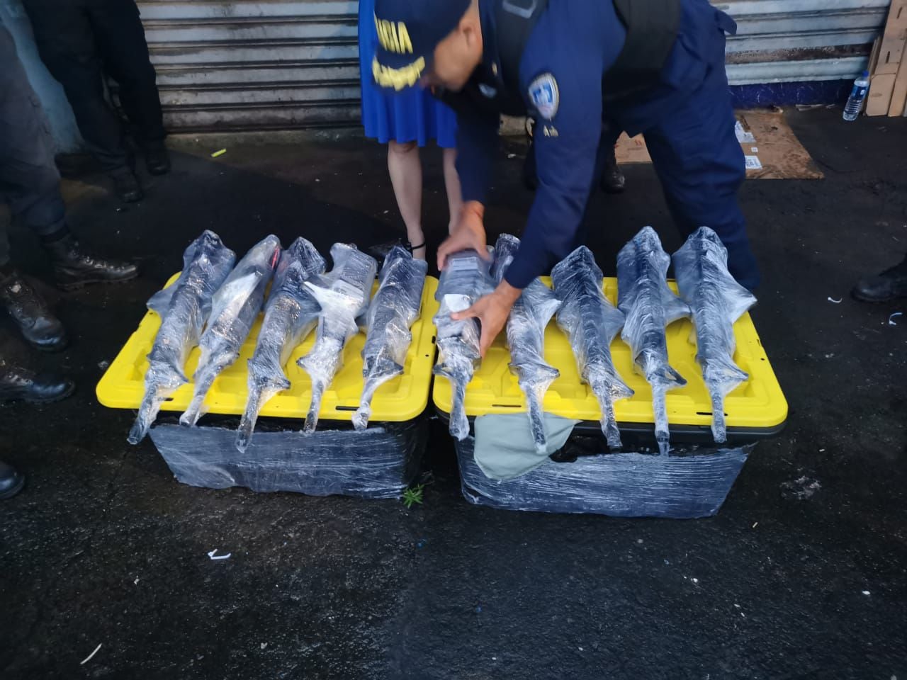 La Policía decomisó 10 armas de guerra en un bus