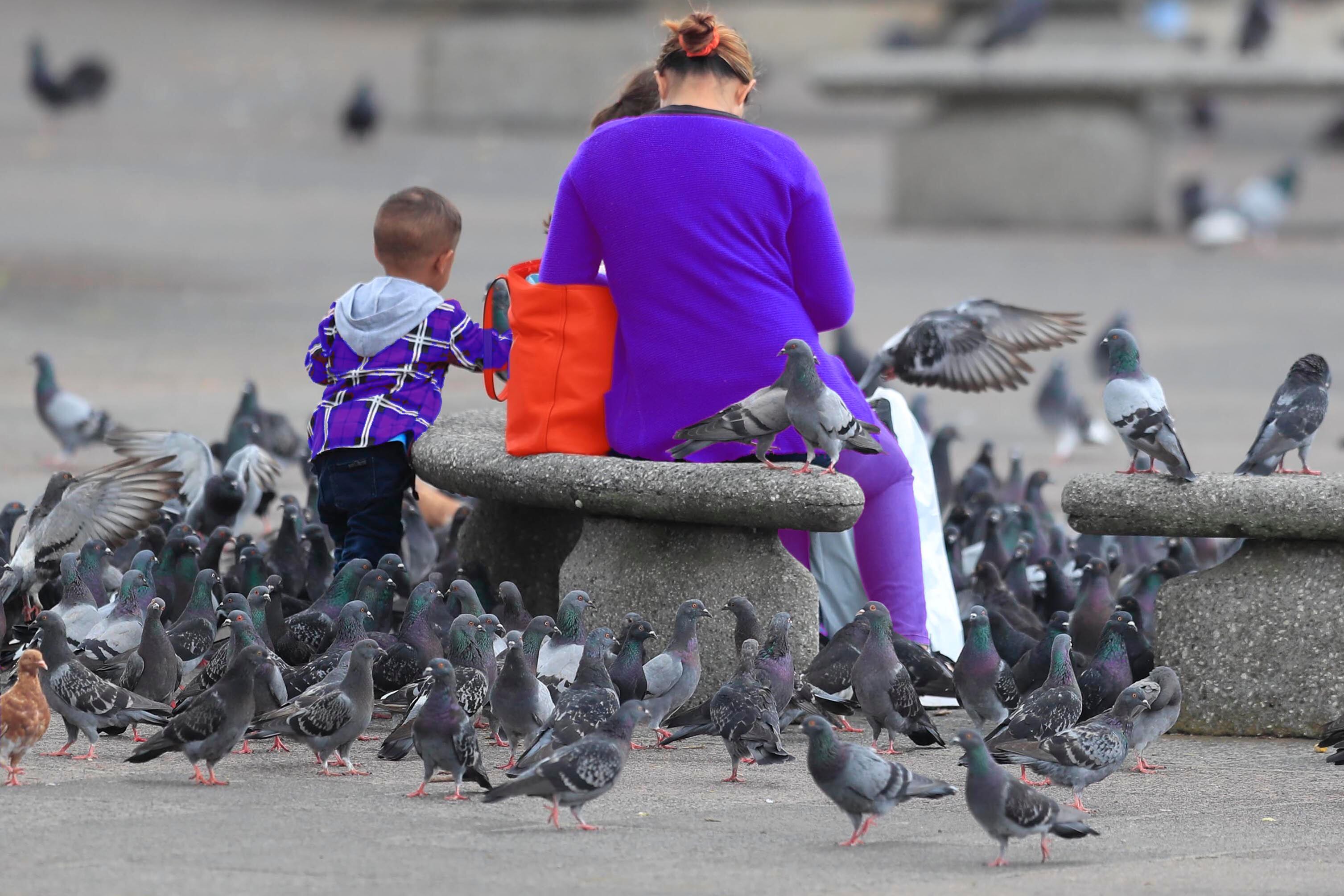 06/04/2024 FOTOS CONCEPTUALES para el tema de niños huérfanos, a cargo de tías, porque su mamá fue víctima de femicidio. Foto: Rafael Pacheco Granados