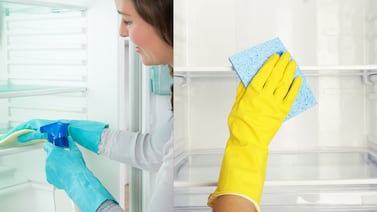 ¿Cómo limpiar su nevera de forma correcta y cada cuánto hacerlo para ahorrar energía y conservar mejor los alimentos?