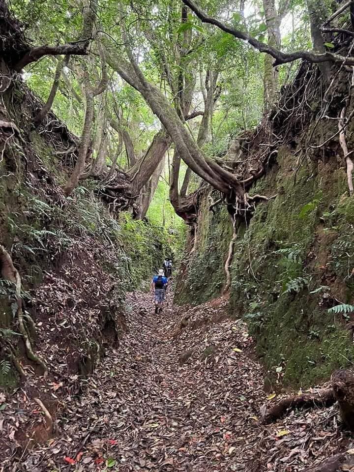 Una caminata intensa por Pico Blanco le espera este domingo 24 de setiembre.