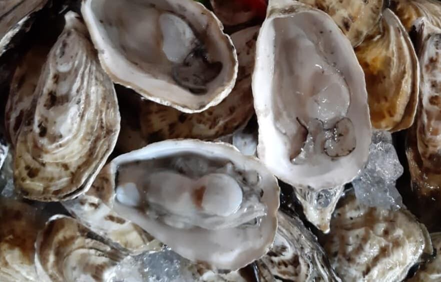 El Servicio Nacional de Salud (SENASA) del ministerio de Agricultura y Ganadería declaró veda, a partir de este sábado 19 de setiembre y como medida sanitaria preventiva, en la costa pacífica para la extracción y comercialización de moluscos bivalvos (mejillón, almeja, ostras, etc ) tanto de cultivo como silvestres.