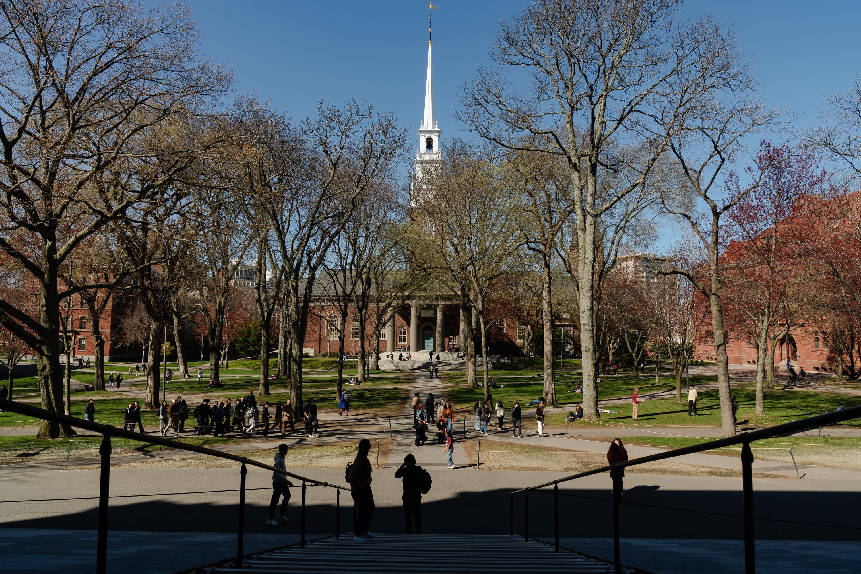 Parte del Harvard Yard de la Universidad de Harvard el pasado mes de abril en Cambridge, Massachusetts. Fotografía: