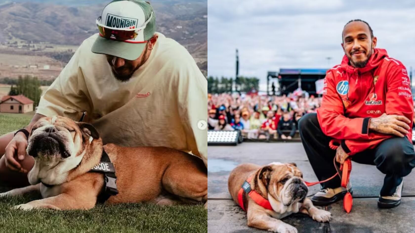 Roscoe, el perro de Lewis Hamilton, murió por neumonía. El piloto lo despidió en redes y la Fórmula 1 le rindió homenaje.