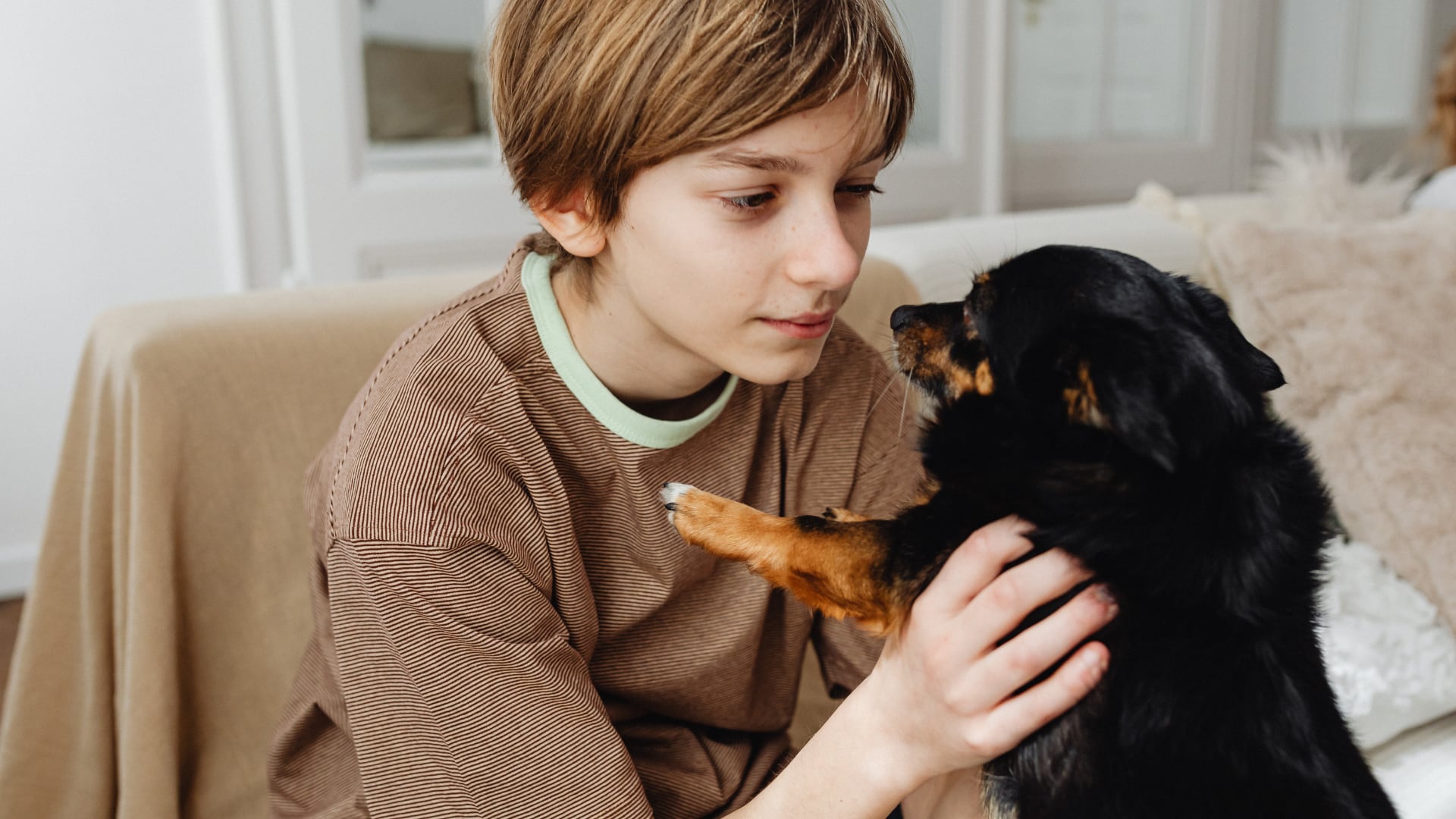 Científicos japoneses estudiaron el impacto del microbioma compartido entre adolescentes y perros sobre el comportamiento social.