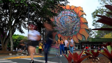 U públicas y privadas aplican múltiples acciones para ayudar a nivelar a estudiantes que arrastran rezago desde el colegio