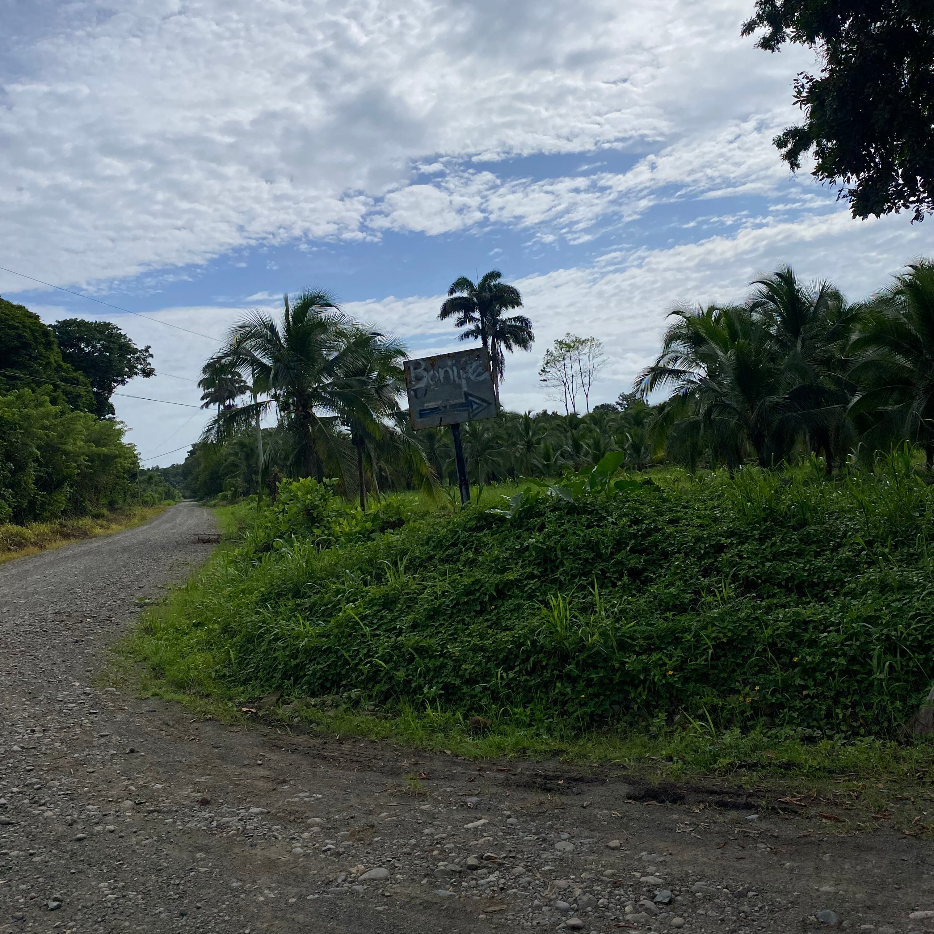 La aparente pista clandestina de aterrizaje se encuentra en el sector de Bonife, cerca del mar Caribe y de la desembocadura del río Sixaola, fronterizo con Panamá.