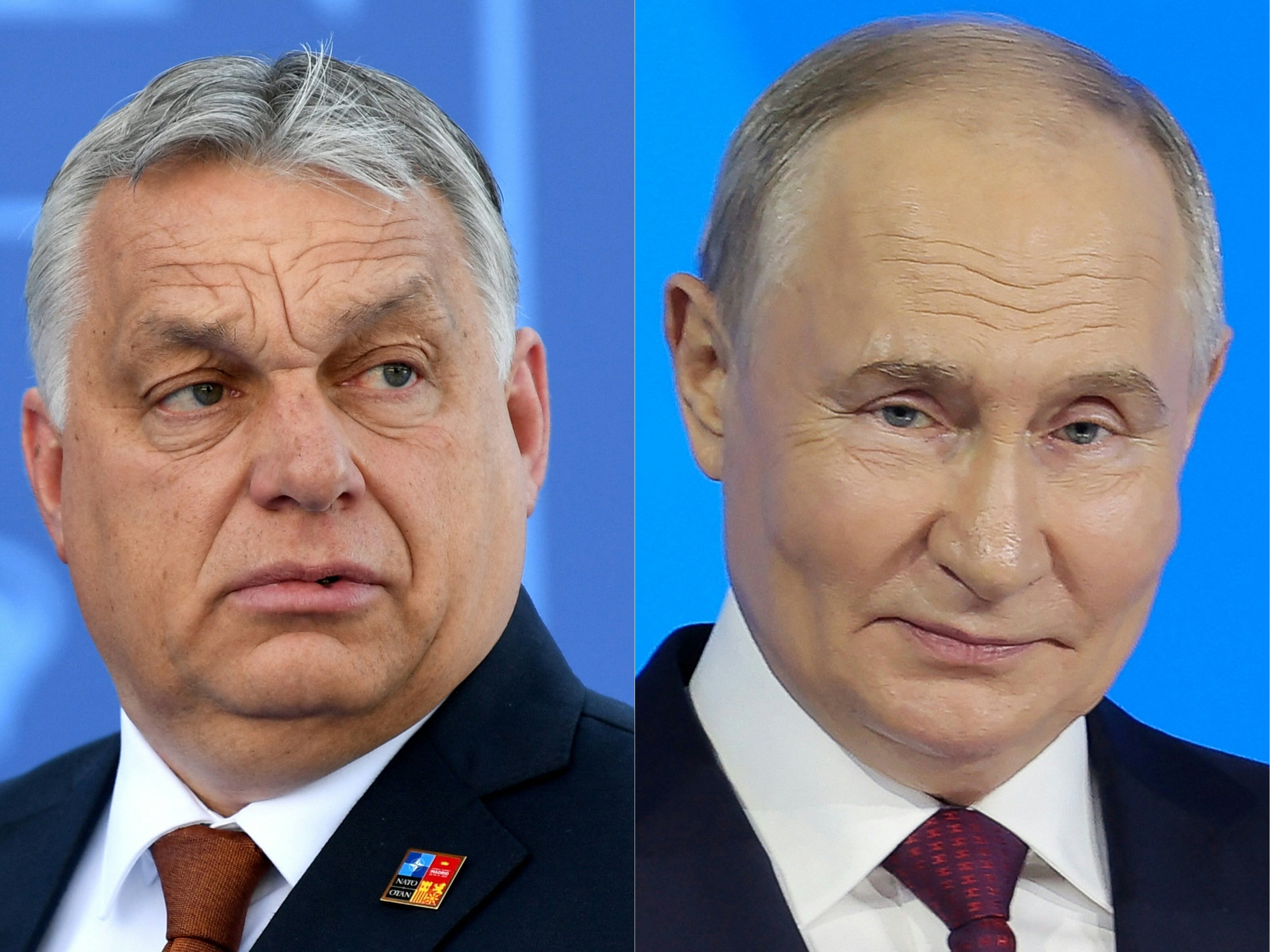 El presidente ruso, Vladimir Putin, dijo el viernes que considera que el primer ministro húngaro, Viktor Orban, está en Rusia como representante de la UE para hablar con él sobre el conflicto en Ucrania.