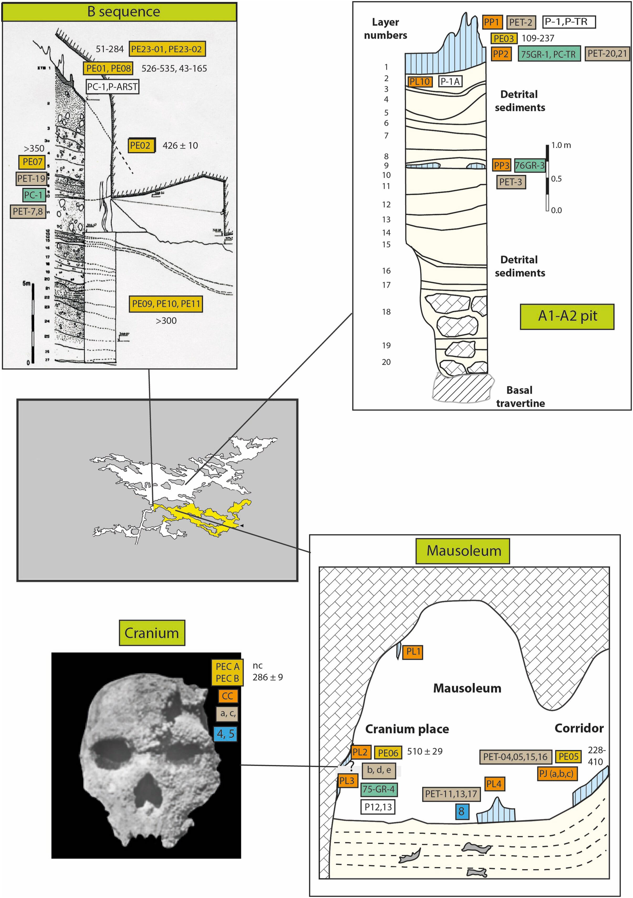 Muestras tomadas en distintas zonas de la cueva de Petralona revelan análisis por diversos métodos: series de uranio y ESR en huesos y calcita, según estudios de Shen, Schwarcz, Hennig, Liritizis y Grün.
