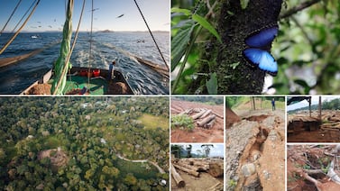 Editorial: ¿Qué le pasó al liderazgo ambiental de Costa Rica?