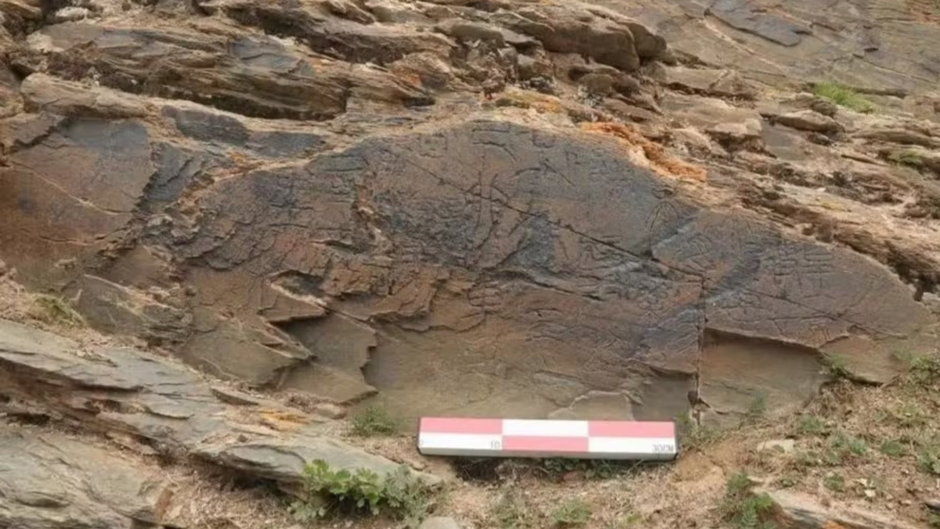 Una piedra hallada en el Tíbet prueba que Qin Shi Huang envió alquimistas en busca del elixir de la inmortalidad.