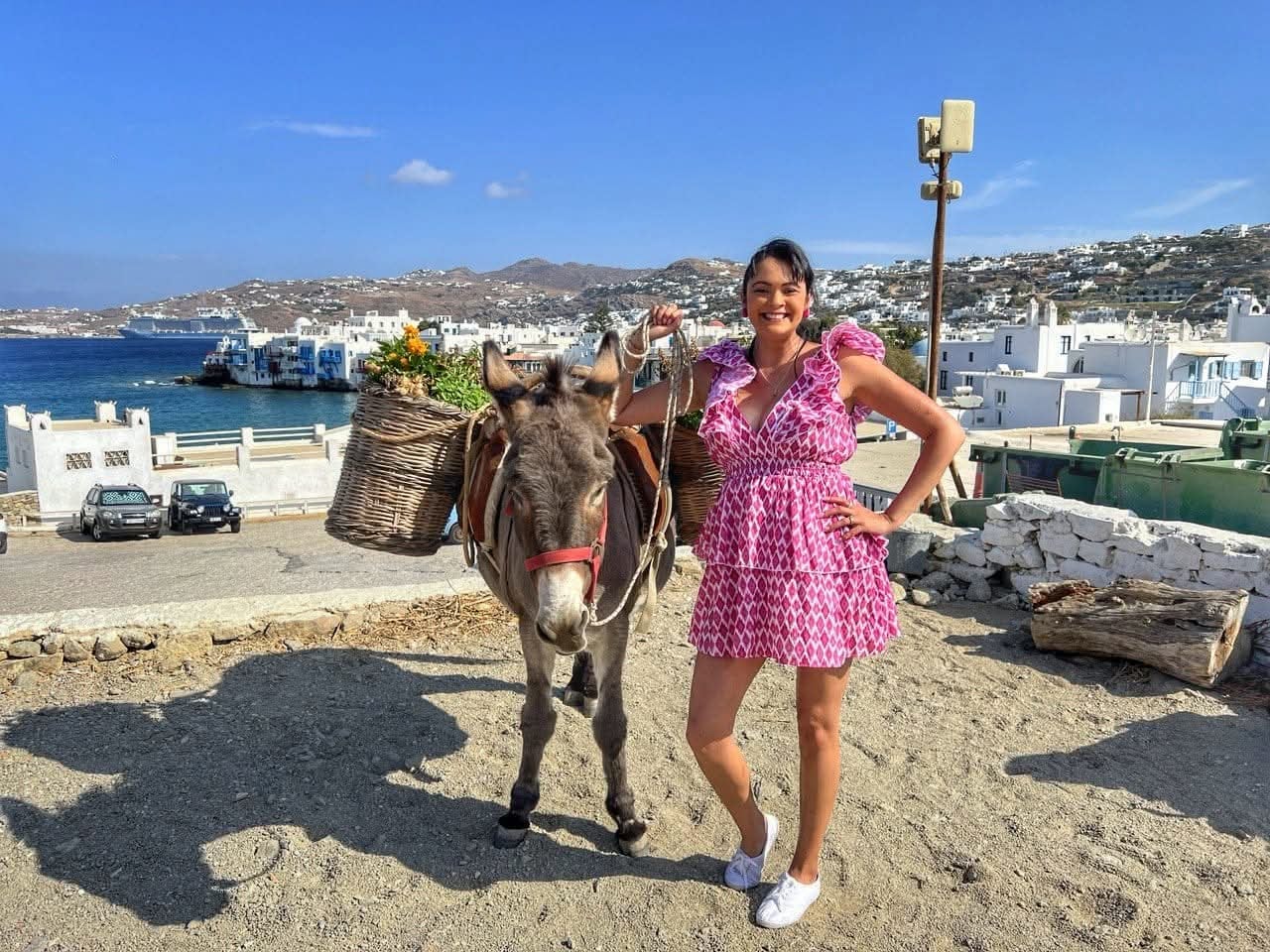 Cristina Castro Meléndez.