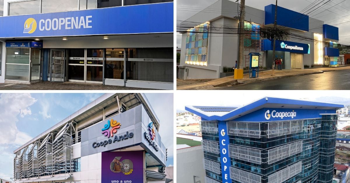 El sector cooperativo mejoró sus utilidades en el 2025.