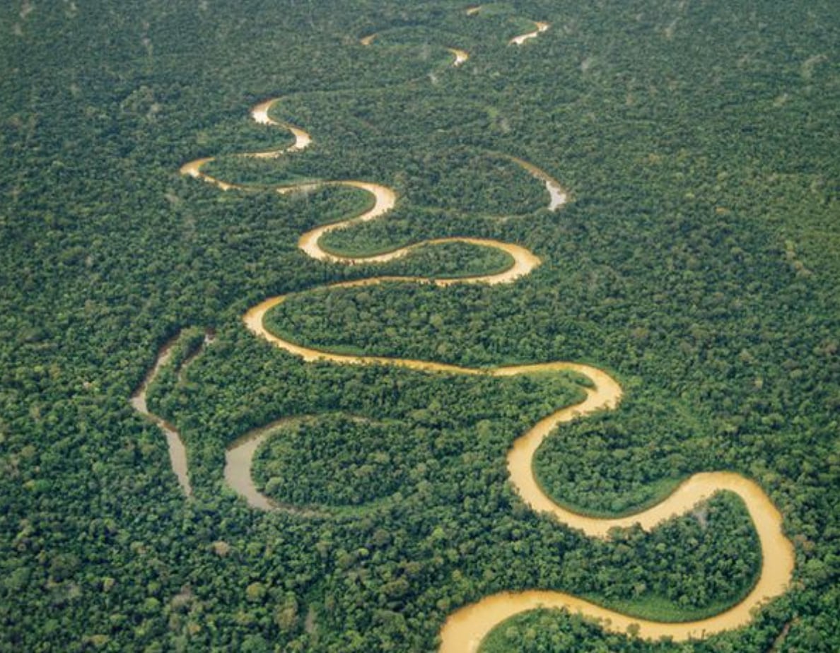 Río Amazonas y el bosque extenso de la región.