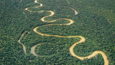La Amazonía registra el mínimo histórico de incendios