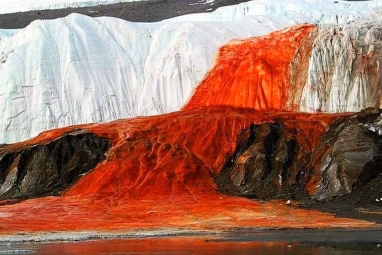 The Blood Falls seeps from the end of the Taylor Glacier into Lake Bonney. The tent at left provides a sense of scale for just how big the phenomenon is. Scientists believe a buried saltwater reservoir is partly responsible for the discoloration, which is a form of reduced iron.