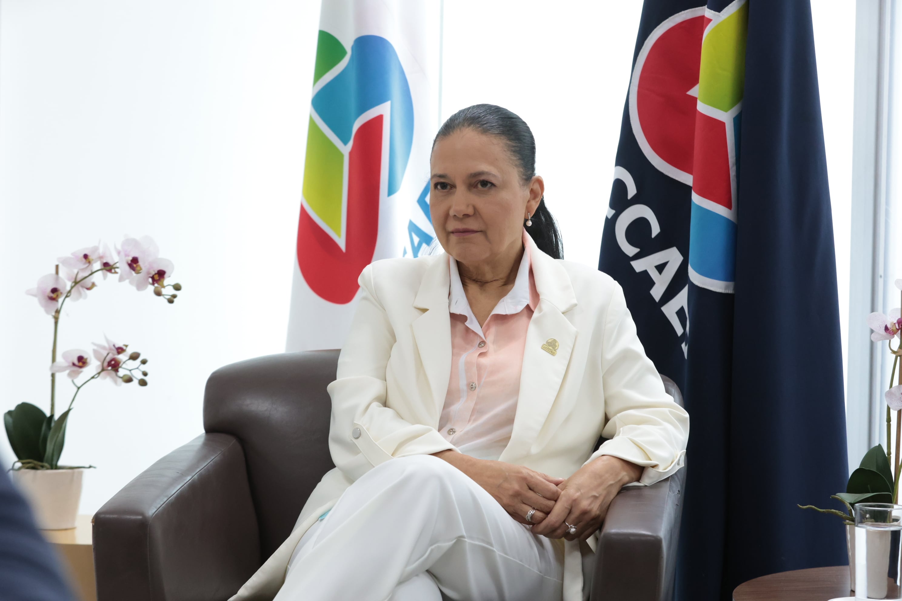 Maritza Hernández presidenta de UCCAEP