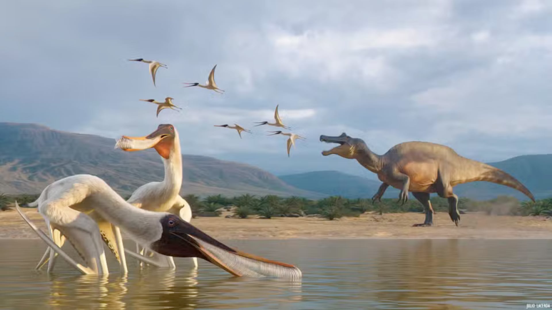 Una nueva especie de pterosaurio fue identificada a partir de un regurgitalito hallado en la Bacia do Araripe, en el noreste de Brasil.