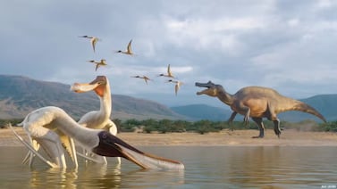 Pterosaurio inédito que habitaba en Brasil es encontrado en vómito fosilizado