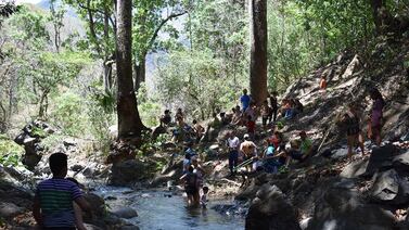 ¿Un picnic junto a un río? Este domingo tendrá varias oportunidades para hacerlo