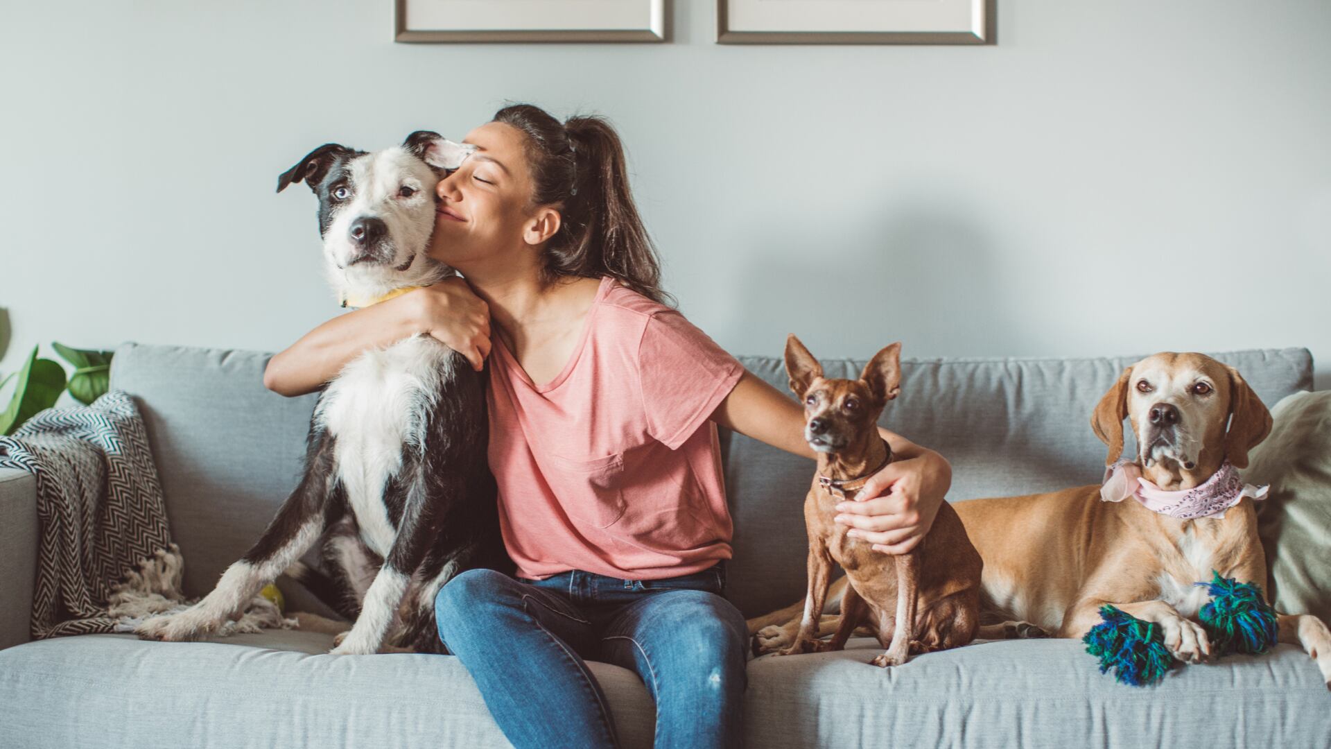 Mondelēz Costa Rica dará permiso de tres días por adopción o muerte de mascotas, en apoyo al bienestar emocional de su personal.