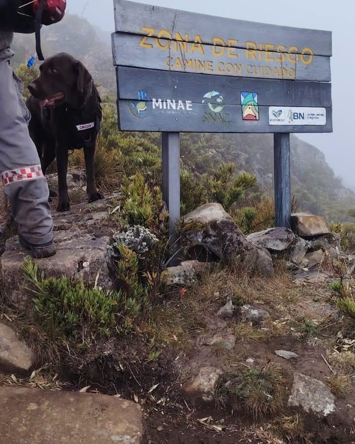 Fotografía que compartió el Minae sobre los equipos de búsqueda para la operación de Reinado Piedra.