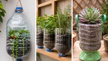 ¡No tire los garrafones de plástico! Descubra ideas prácticas para reutilizarlos en su hogar y jardín