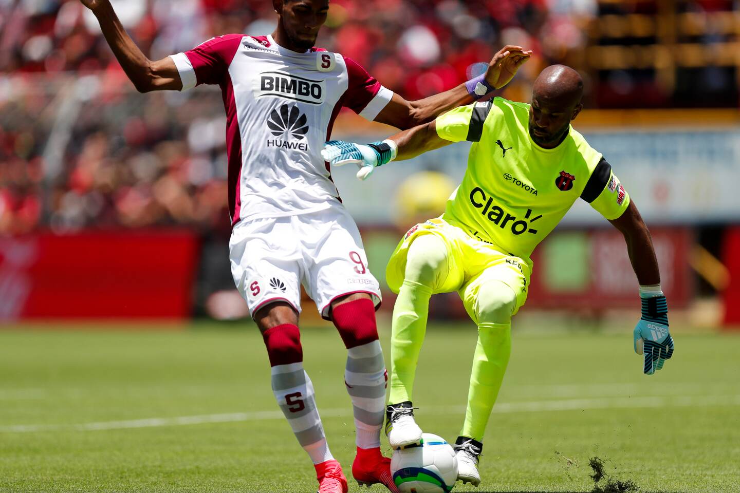 En esta jugada Ricardo Montero le marcó falta a Jerry Bengtson y le invalidó el gol a Saprissa.