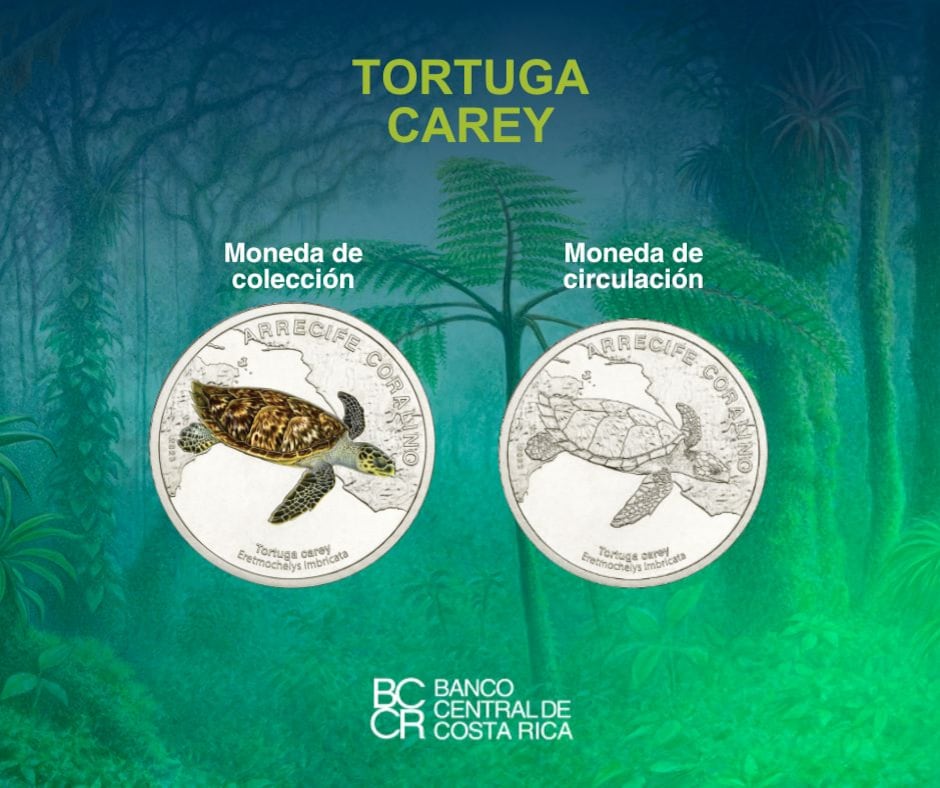 Nuevas monedas de 50 colones