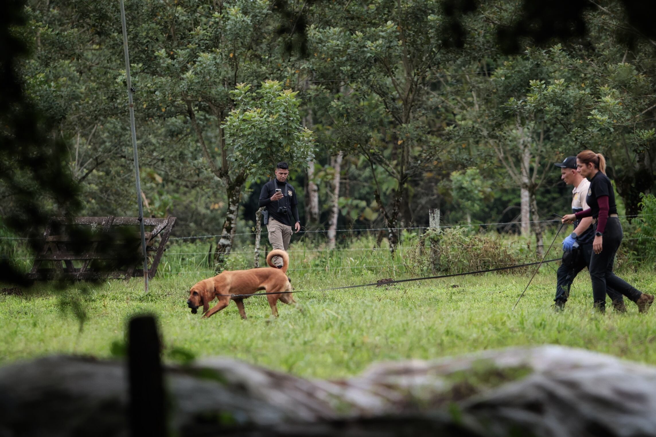 14/10/2025/ Allanamiento caso Ligia Faerron en San Carlos / foto John Durán