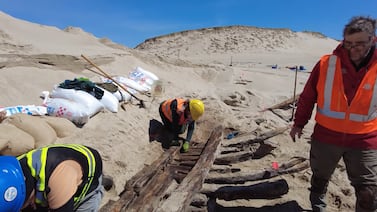 Dunas revelan naufragio del siglo XIX oculto en Canadá y resuelven misterio histórico