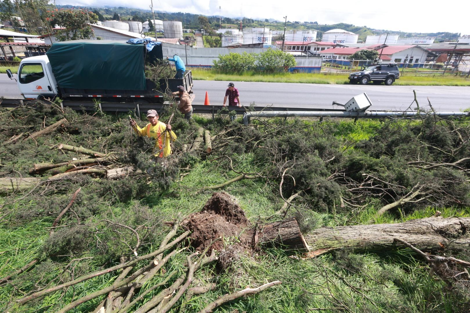 Empresa limpia árboles caídos.