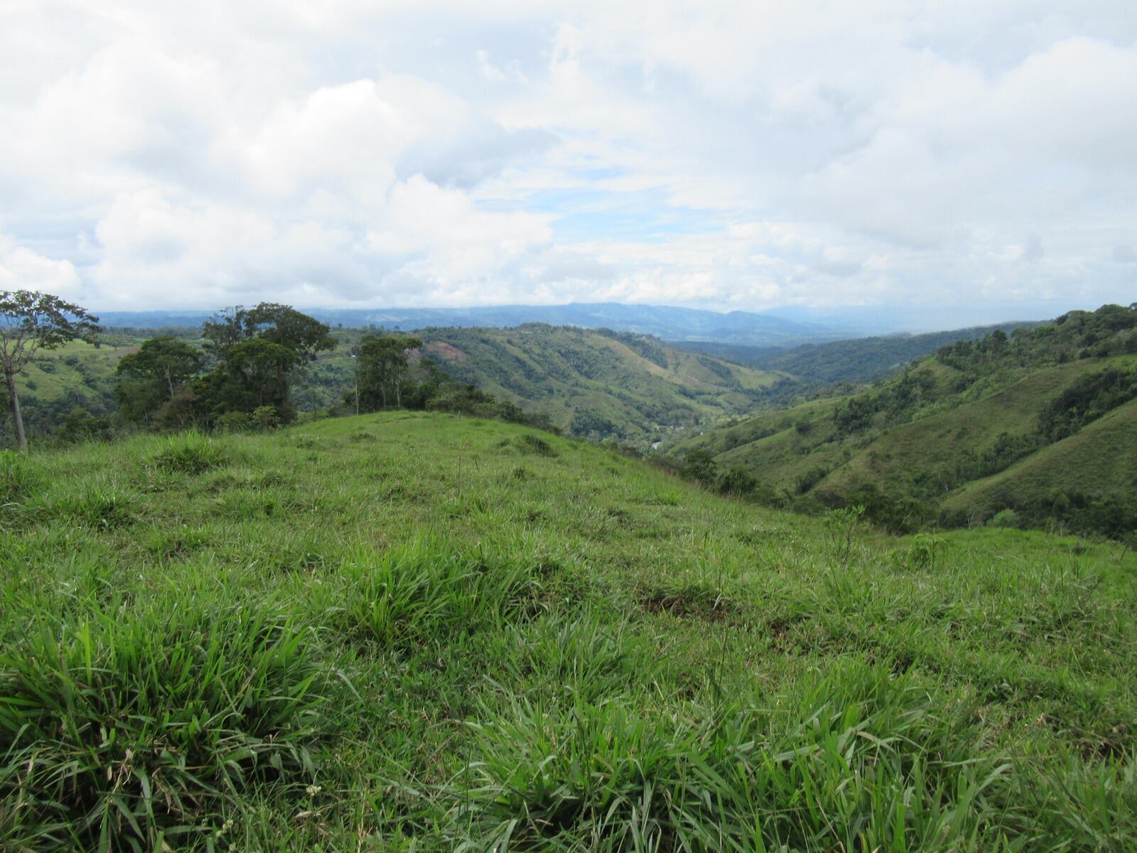 Esta es una de las propiedades que está en venta en el INS.
