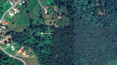 ‘Data center’ de IA en Limón se construiría sobre terreno con humedales, bosques y cerca de acuífero