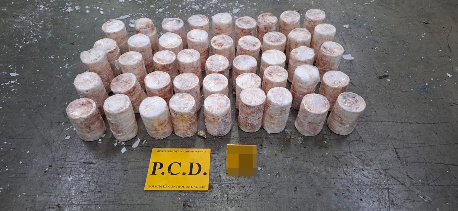 Cargamento de cocaína en malanga falsa decomisado en la Terminal de Contenedores de Moín (TCM).